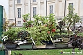 VBS_3480 - Floreal 2023 - Vivere con le piante